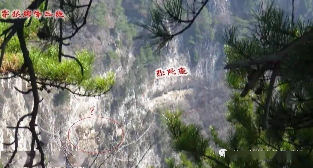 虫虫助手下载