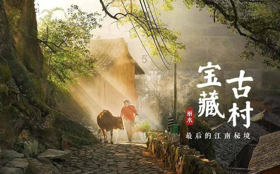 小猫钓鱼正版下载中文版