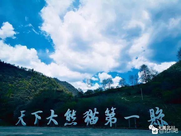 球球大作战下载最新版