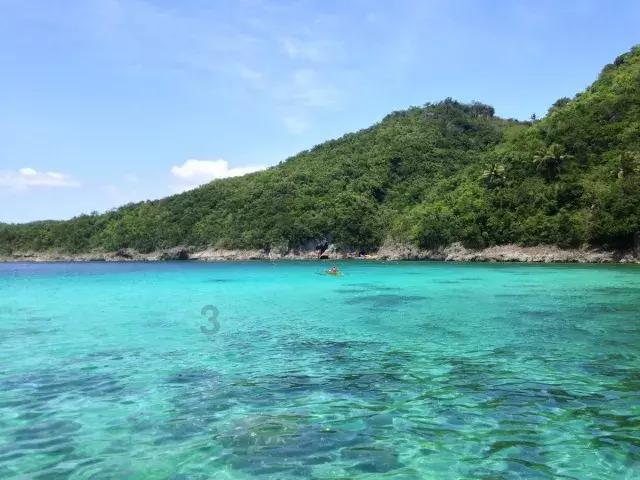 春雨直播app