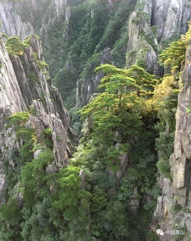 妙鸭相机app下载官网